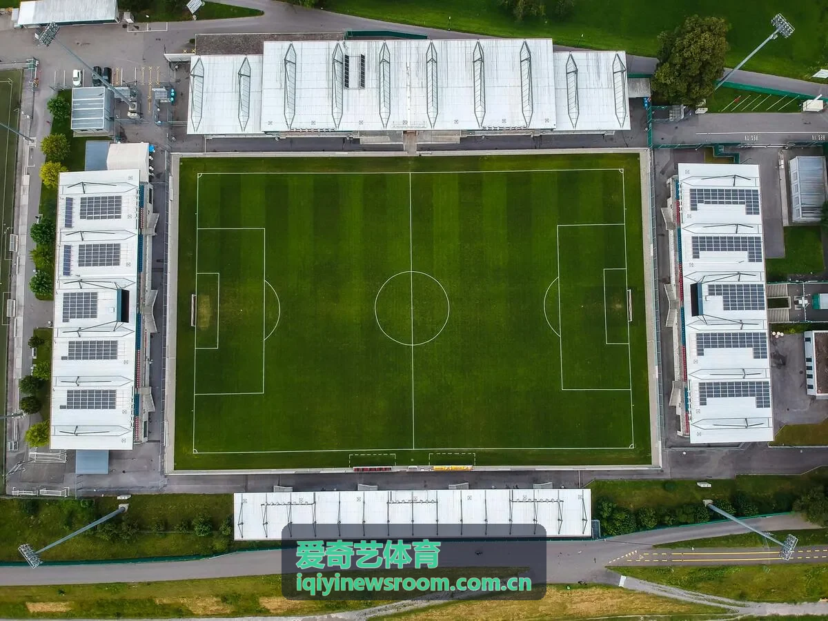 格斗赛事前瞻